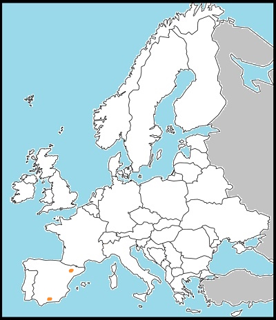 Euchloe bazae distribution