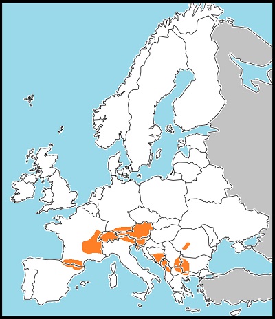 Erebia oeme distribution