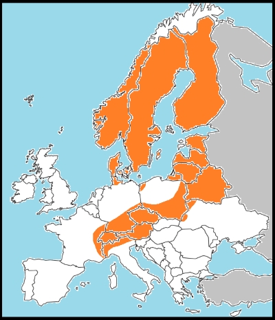 Colias palaeno distribution