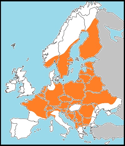 Limenitis populi distribution