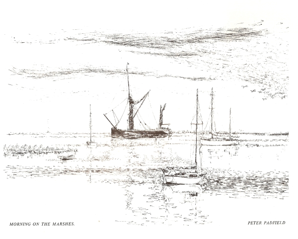 Morning on the marshes